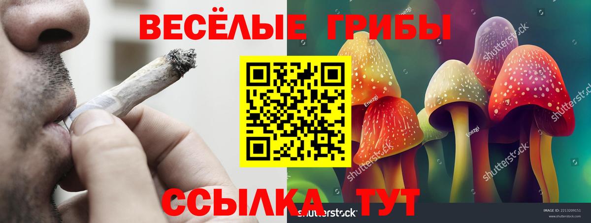 Псилоцибиновые грибы Magic Shrooms Каменск-Шахтинский